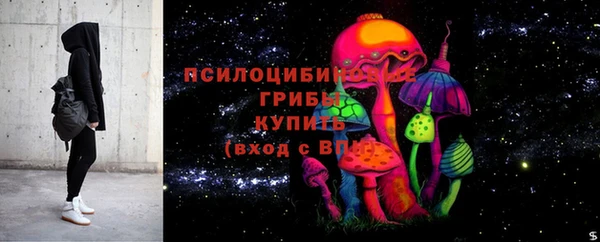 прущие грибы Бугульма