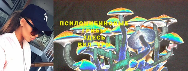дмт Алексеевка