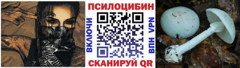 Псилоцибиновые грибы мицелий  ссылка на мегу зеркало  Глазов  наркошоп 