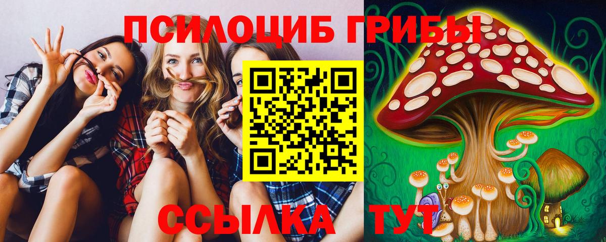 Псилоцибиновые грибы GOLDEN TEACHER Глазов