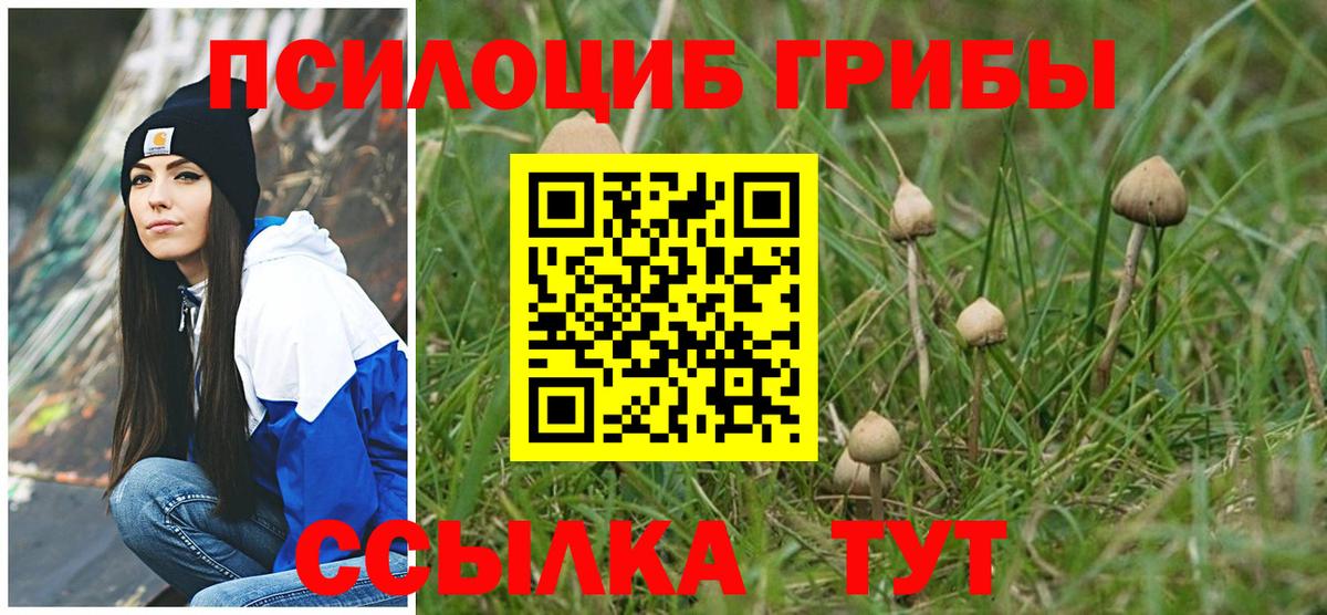 Псилоцибиновые грибы MAGIC MUSHROOMS  Глазов 